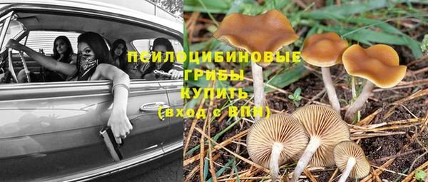 эйфоретик Алзамай