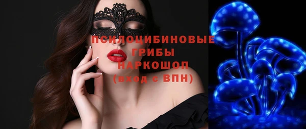 эйфоретик Алзамай