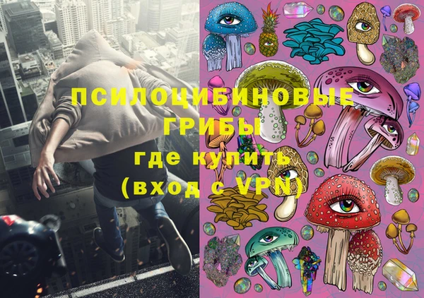 эйфоретик Алзамай