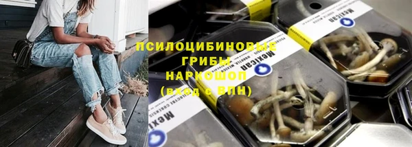 крисы Алексеевка
