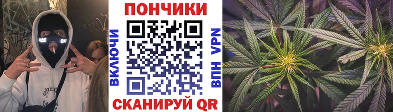 МАРИХУАНА SATIVA & INDICA  сколько стоит  Новоалтайск 